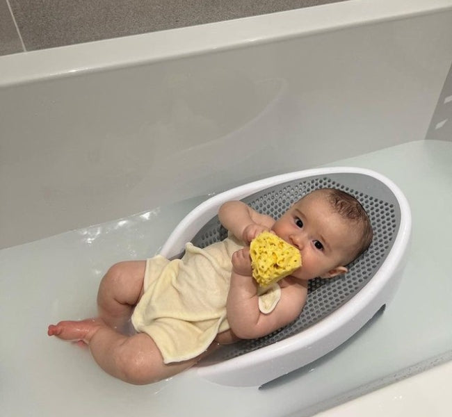 Natural Honeycomb Sea Sponge Ana Wiz