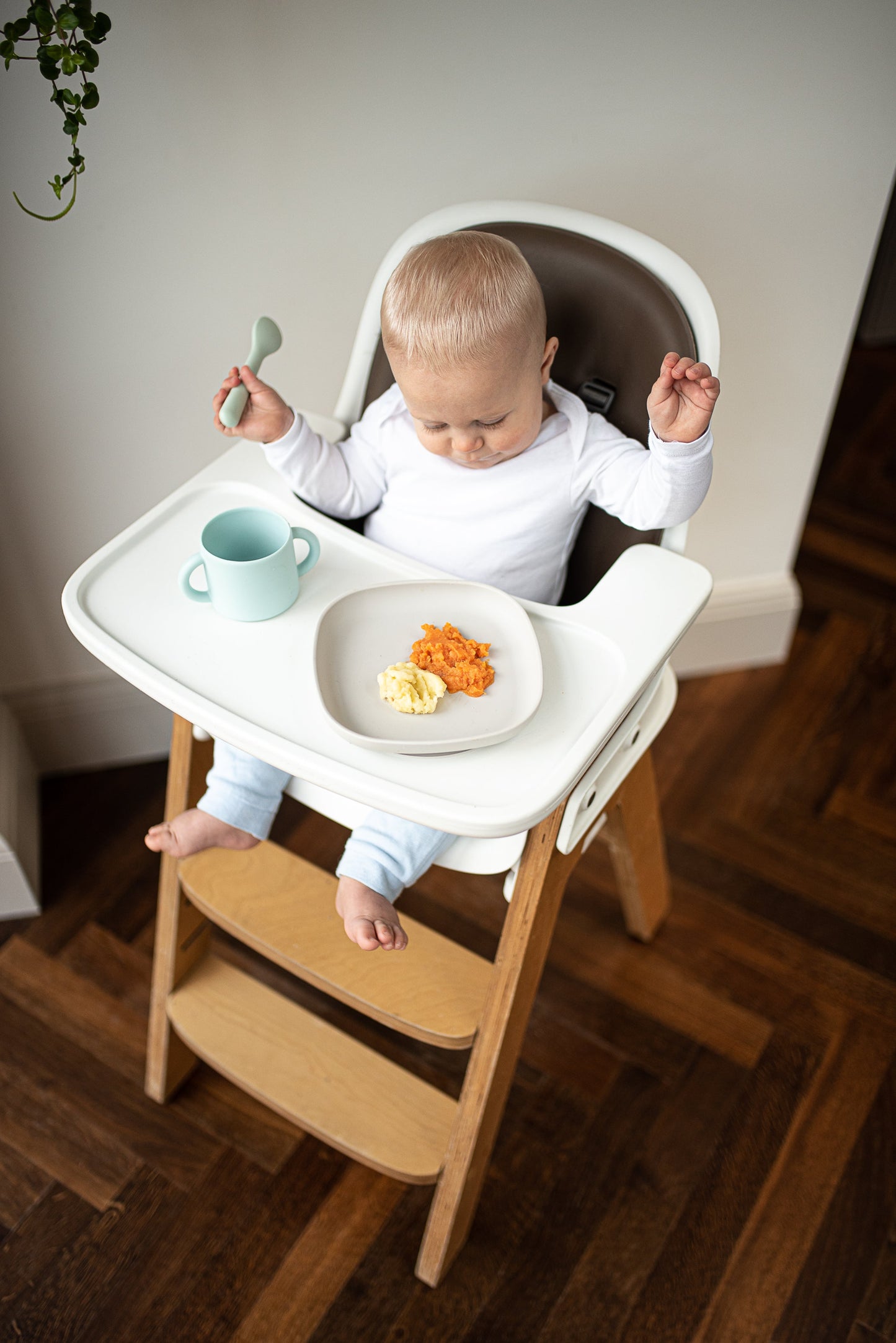 Silicone Suction Plates (Pack of 2) ana baby
